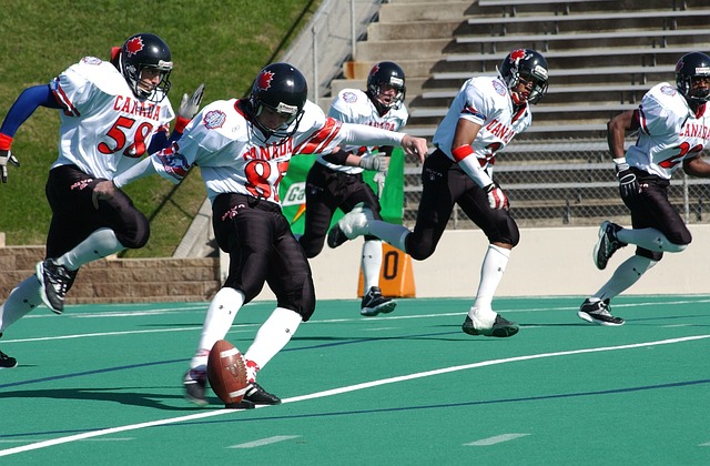 夺得总冠军 夺得总冠军