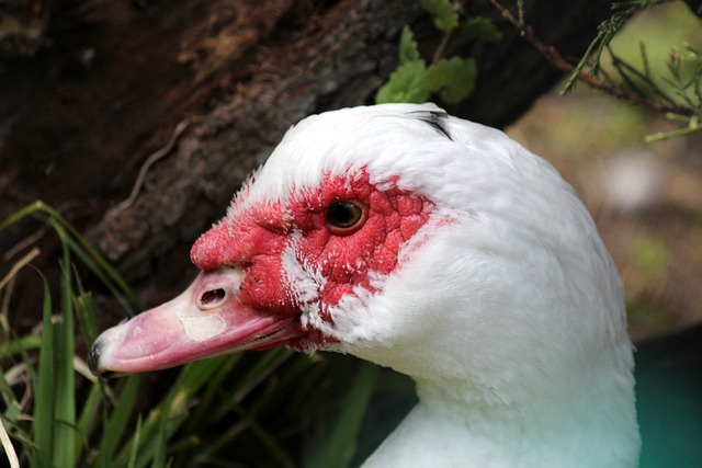 只要保持健 只要保持健