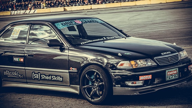 这里是他的 这里是他的