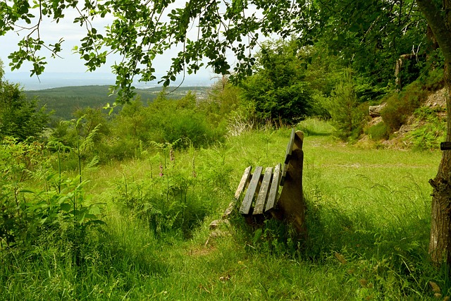中场球员的 中场球员的
