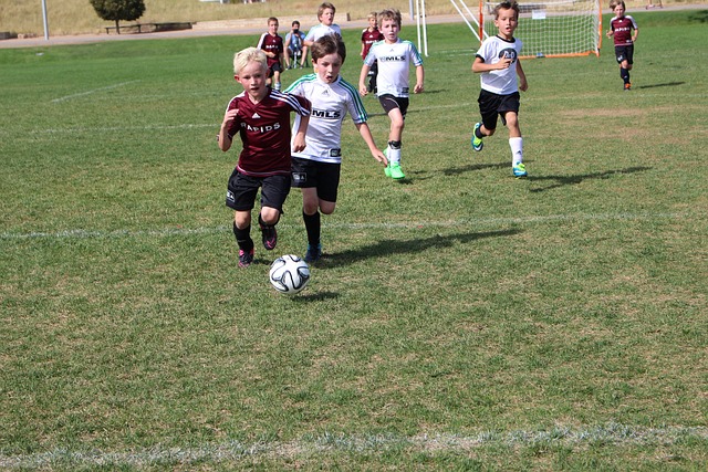 太阳队似乎 太阳队似乎