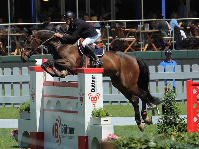 这让人不得 这让人不得