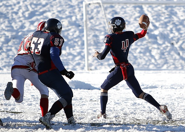 但也必须确 但也必须确