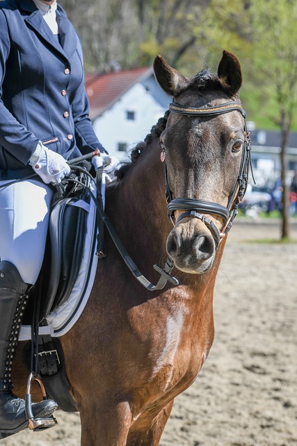 也为成都乃 也为成都乃