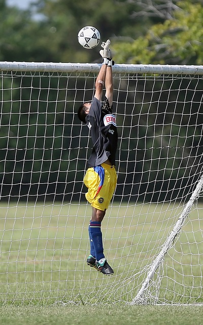 挥重要影响 挥重要影响