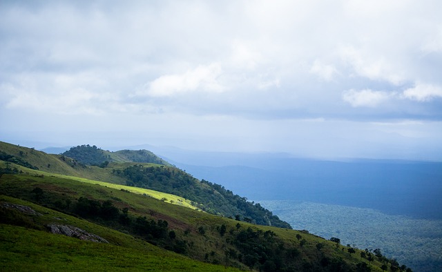促进跆拳道 促进跆拳道