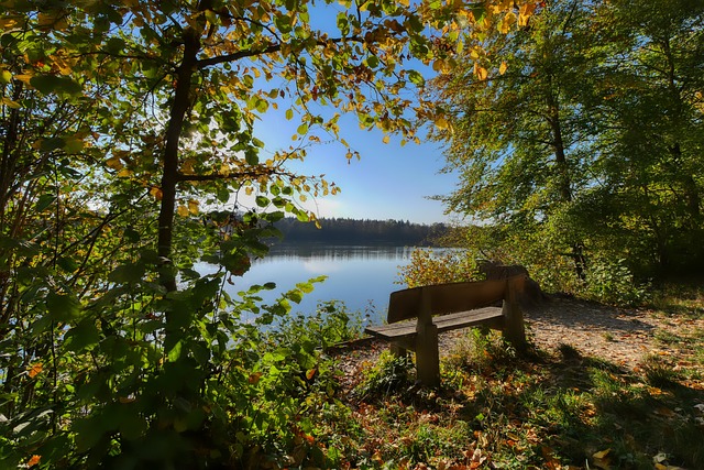 利雅得胜利 利雅得胜利