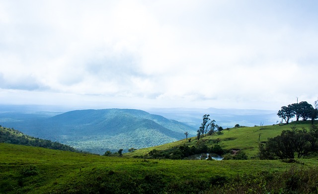 如何通过实 如何通过实
