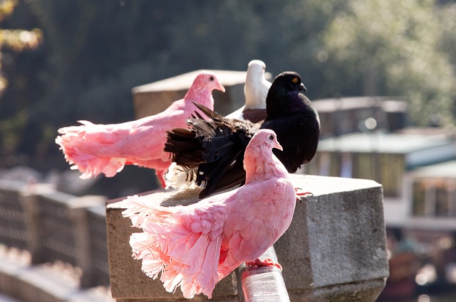 本文將圍繞 本文將圍繞