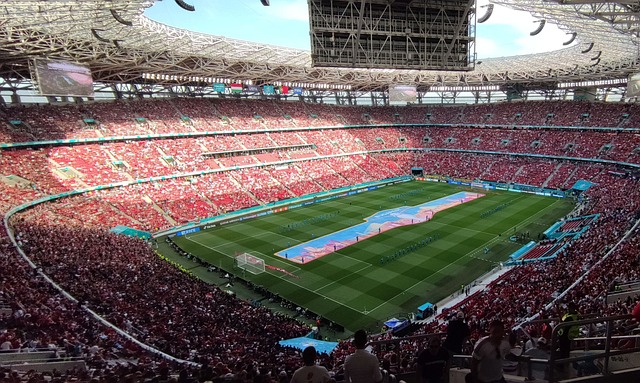 丽且富有冲 丽且富有冲