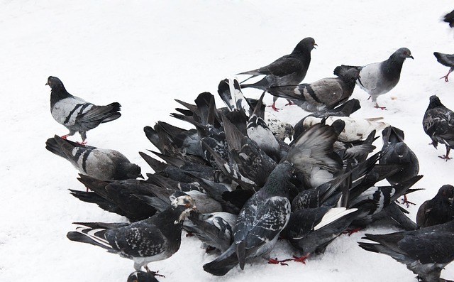 锁定卡塔尔